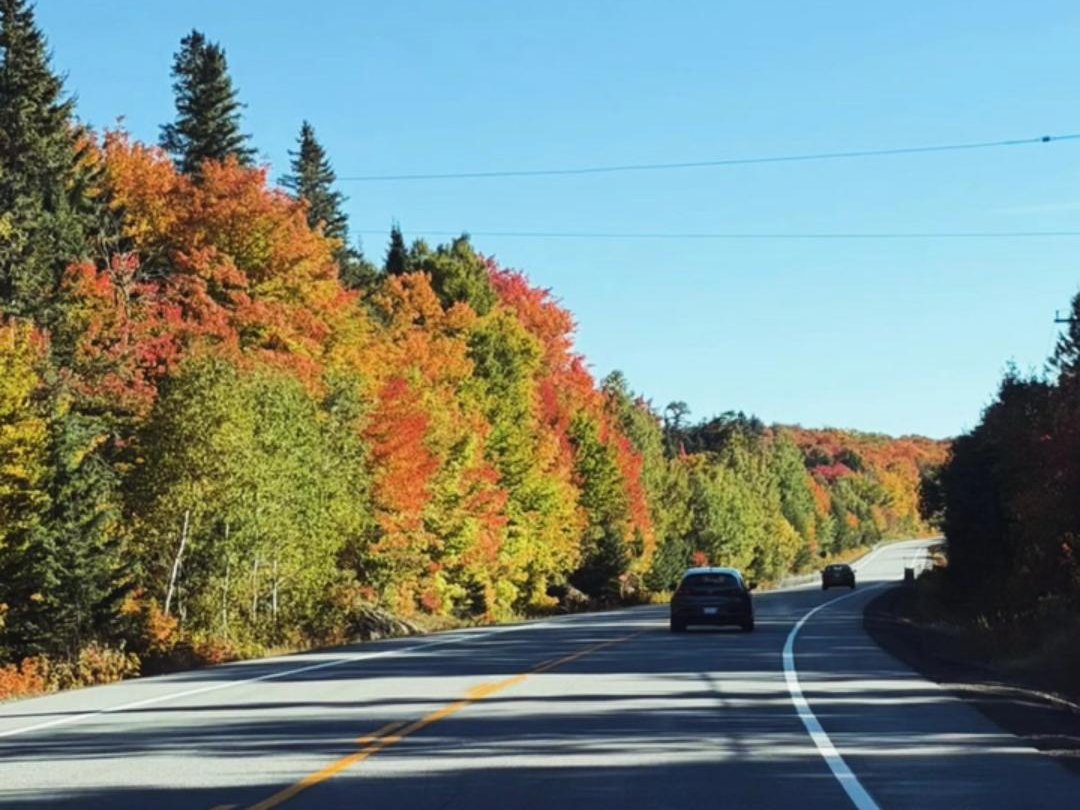 A highway curving through bright autumn trees under a clear blue sky