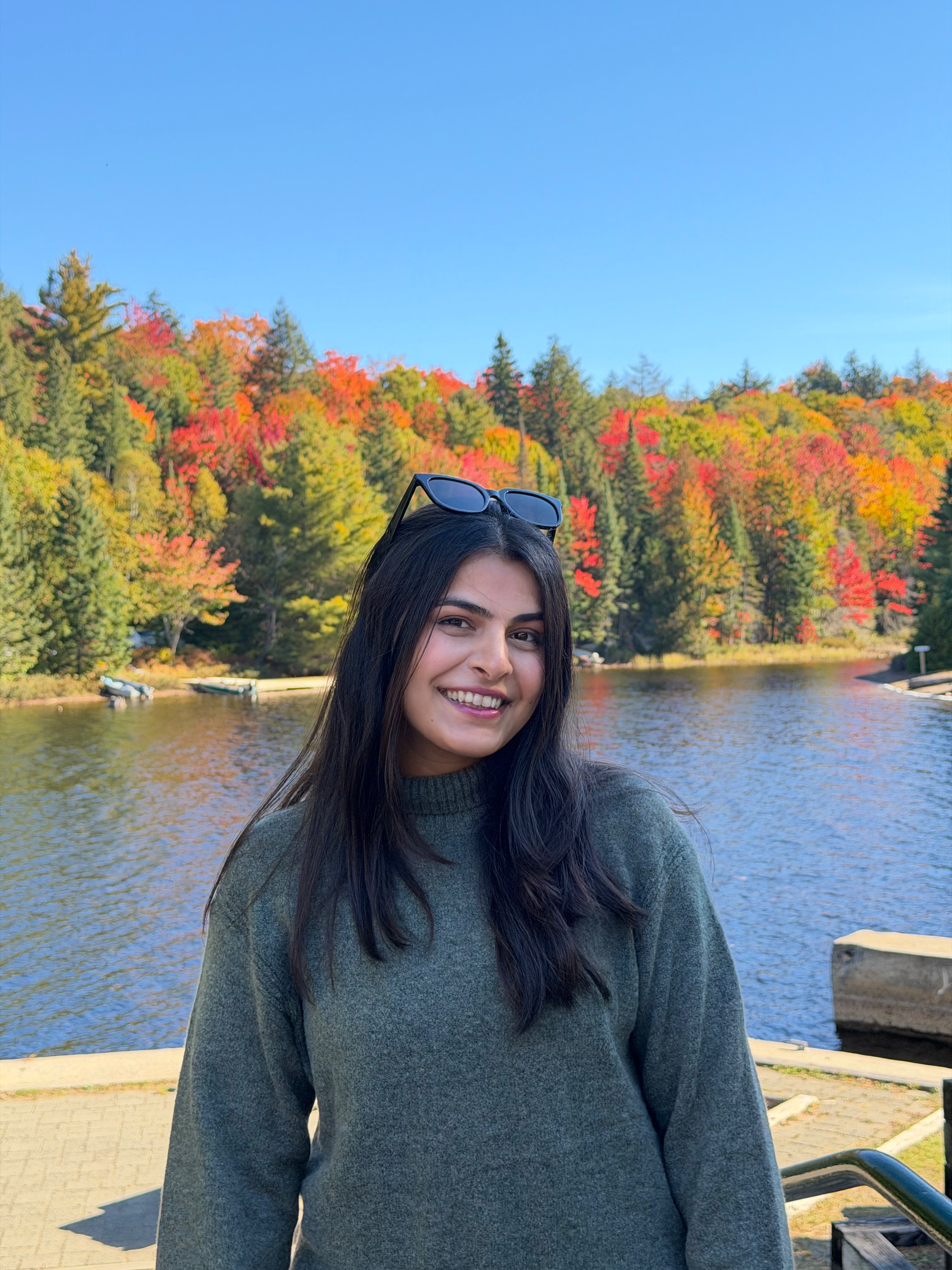 Autumn forest in Canada